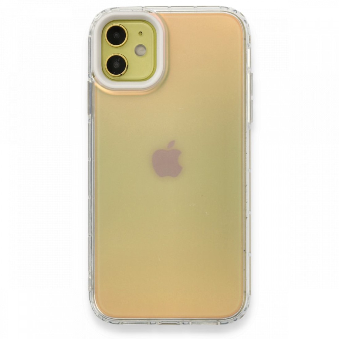  iPhone 12 Kılıf Valensiya Silikon - Gradient