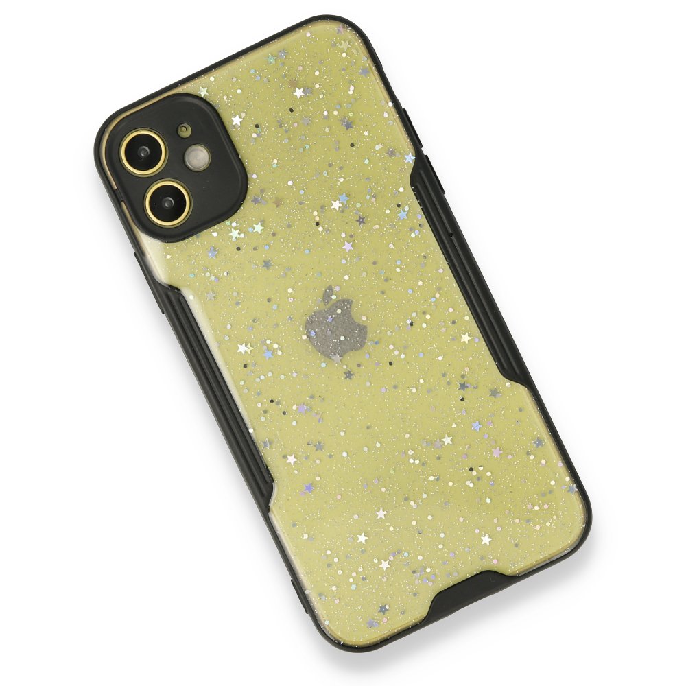  iPhone 12 Mini Kılıf Platin Simli Silikon - Siyah