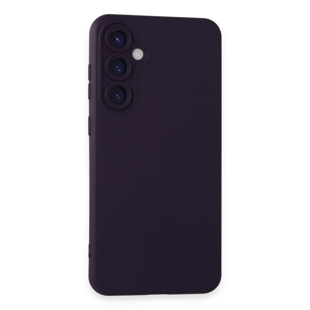  Samsung Galaxy S24 Kılıf Nano içi Kadife Silikon - Mor