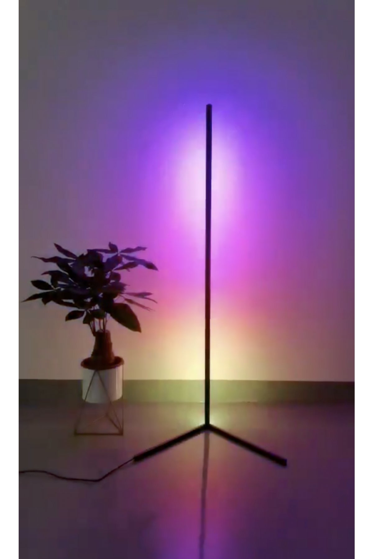  FW140 Sunset 115 Led Light